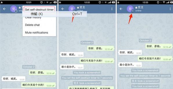 telegeram中文汉化版,telegreat中文版官方下载