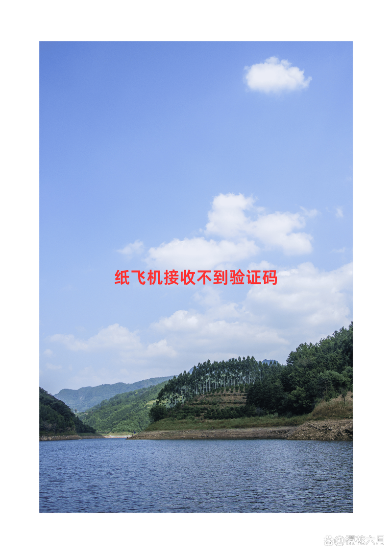 纸飞机虚拟号注册,纸飞机用国内手机号注册步骤