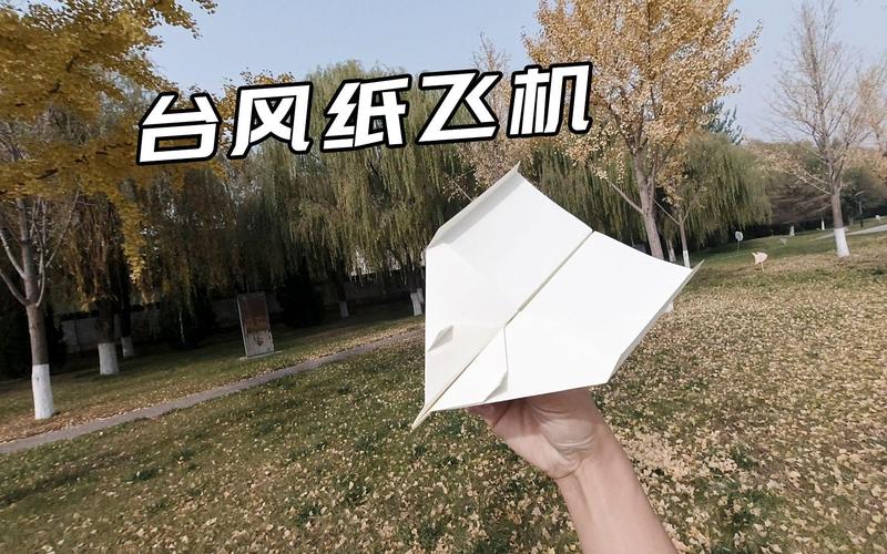 纸飞机网站在哪里找,纸飞机john collins的网站
