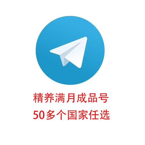 纸飞机账号4元一个,telegraph账号自助下单