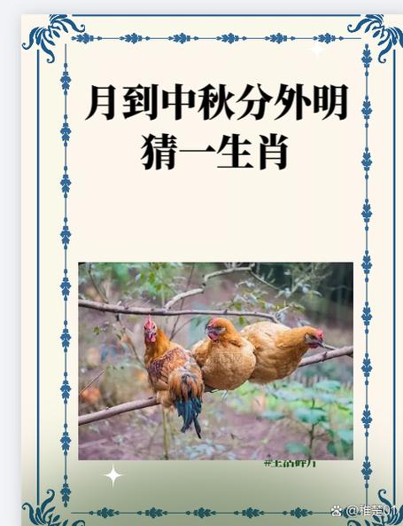 正确答案是哪个生肖,你知道正确答案是多少