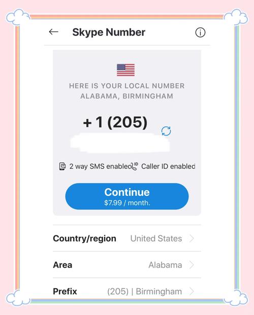 skype英文意思,skype的意思是什么
