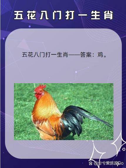 话里带刺打一生肖是什么:话里带刺打一生肖是什么生肖