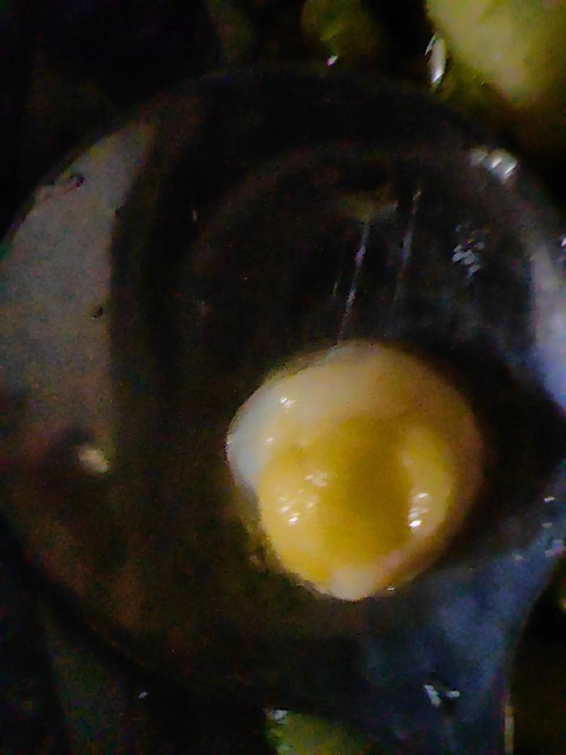 “鳖下的王八蛋”打一正确的生肖的简单介绍