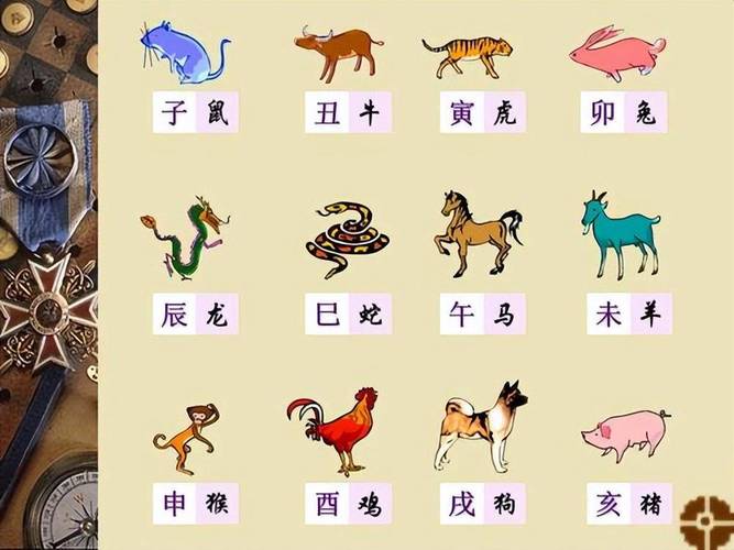 今期生肖各不同准确生肖有哪些呢:今期生肖各不同准确生肖有哪些呢图片