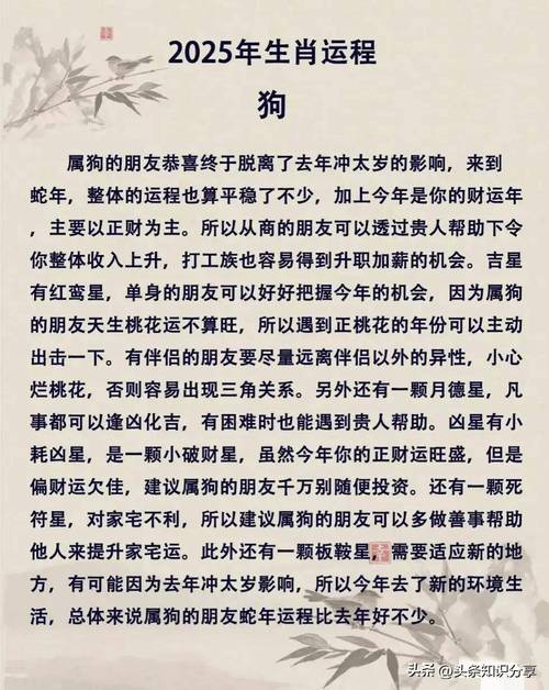 2025什么生肖运气最好:2025什么生肖运气最好呢