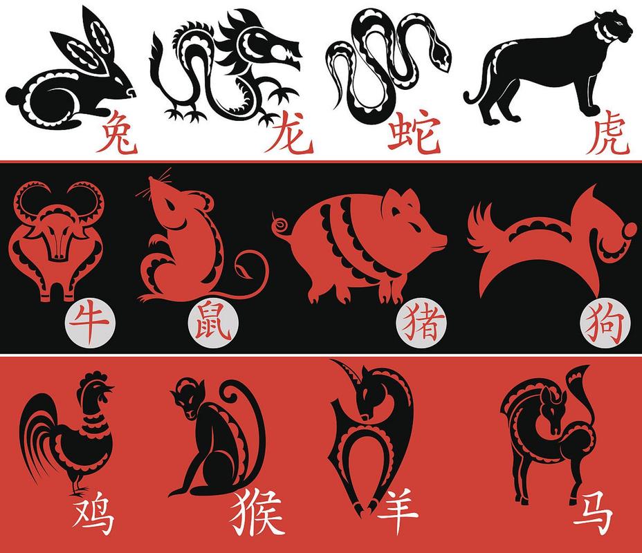 模字代表最佳生肖:模字代表最佳生肖动物