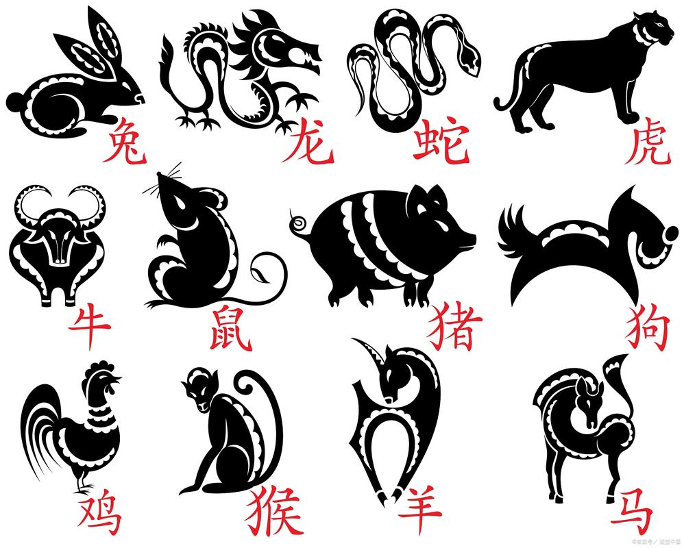 打一生肖动物名:打一生肖指什么意思
