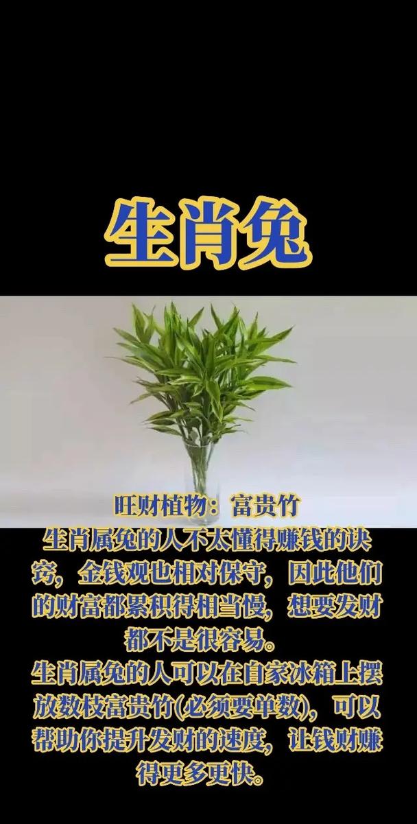 龙配什么生肖最好婚姻的财运:龙配什么生肖最好 生肖龙婚配宜忌