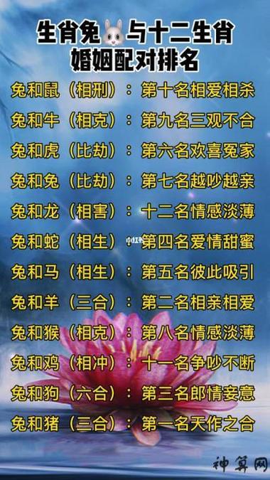 兔子与什么生肖相冲相克:兔子和什么属相相冲如何化解