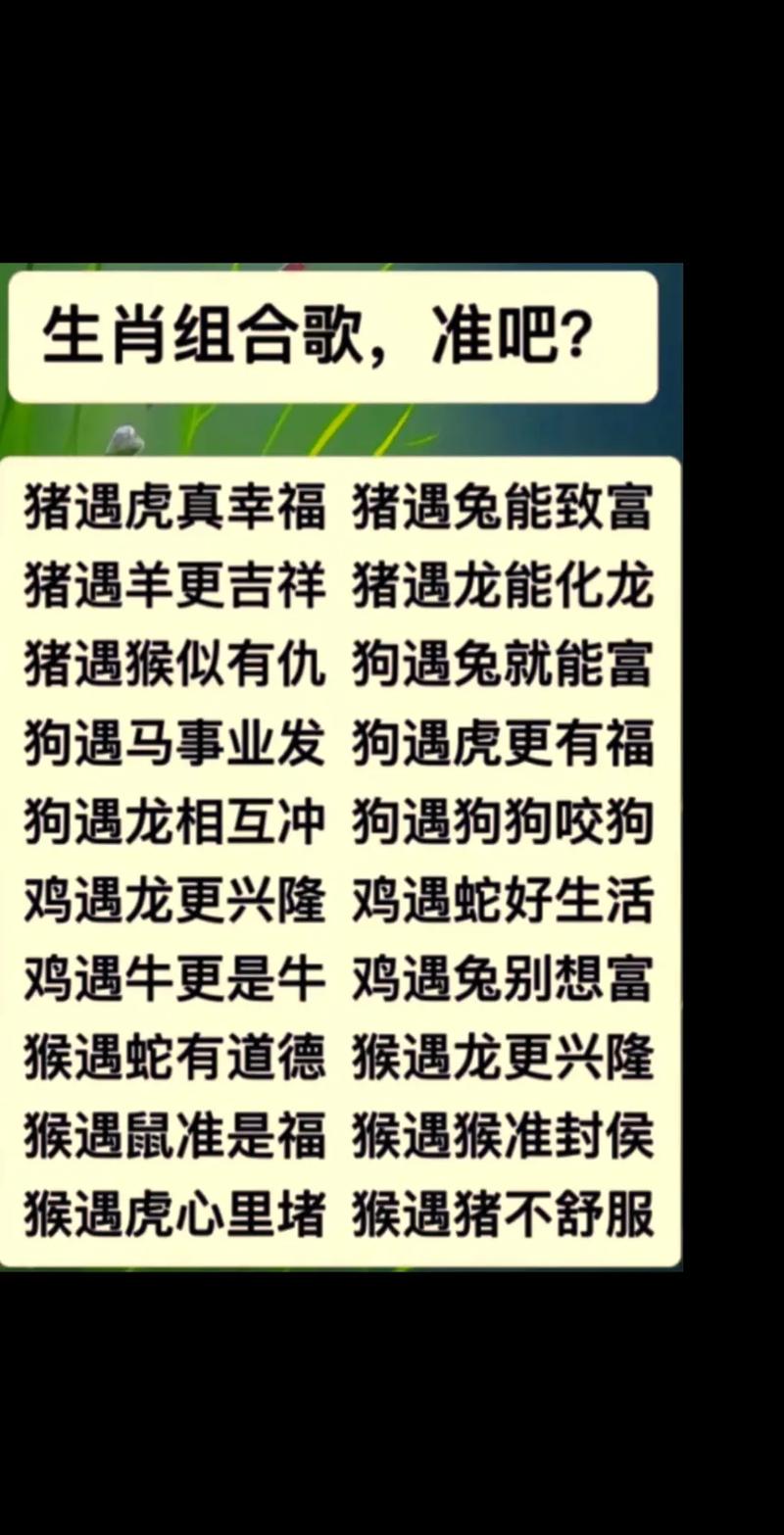 今期生肖定今期代表什么动物:今期生肖定蛇马,特肖必定在一定龙猴又相见