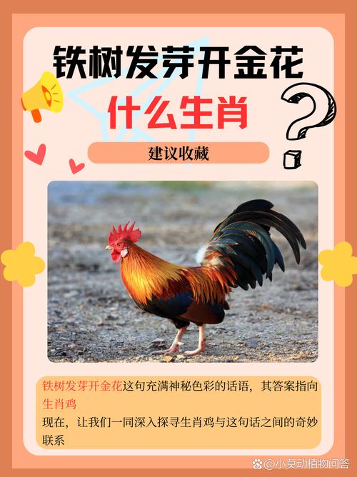关于今期生肖新玩意最佳答案是什么的信息