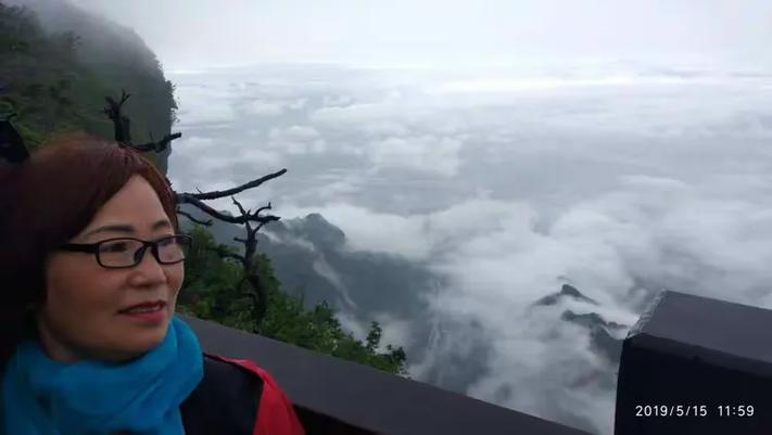关于江山如画打一生肖最佳答案是什么的信息