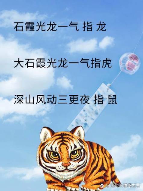 三更半夜打一生肖是指哪些动物的简单介绍