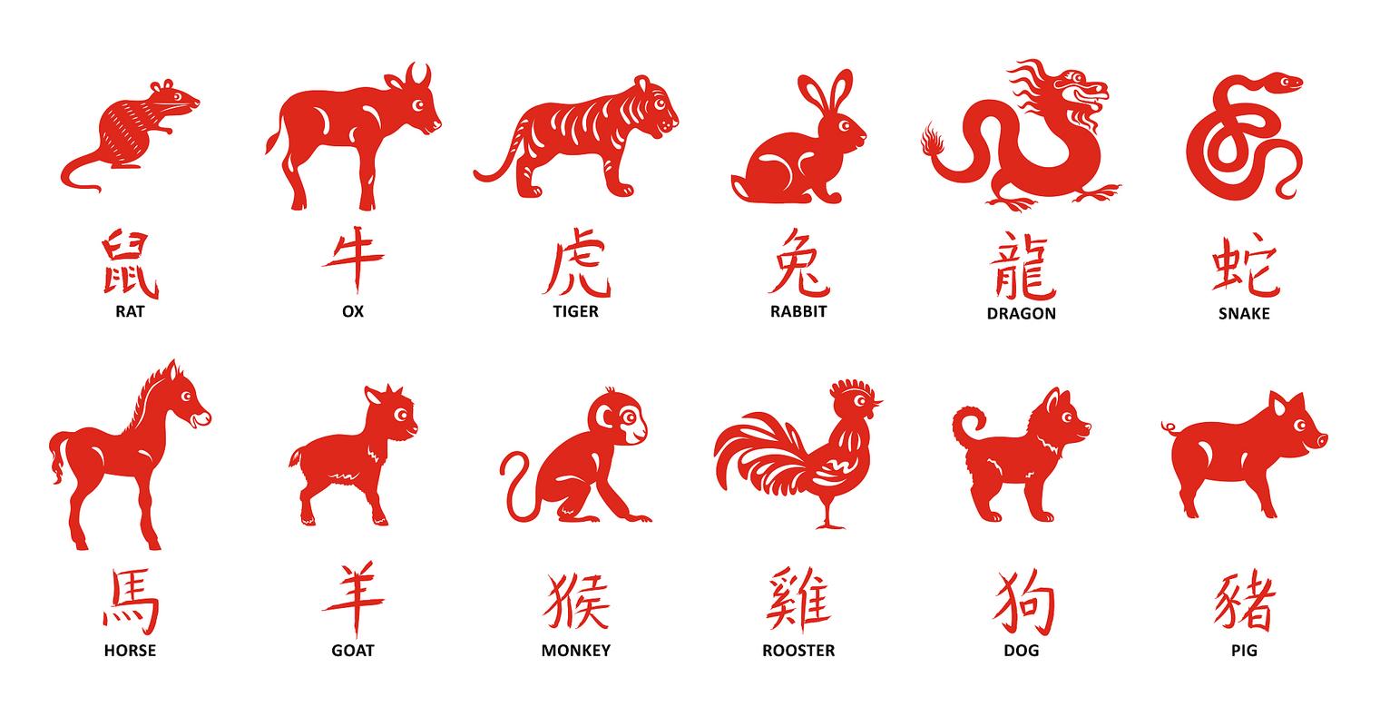 包含“猪鸡羊蛇一起来”打一准确动物生肖的词条