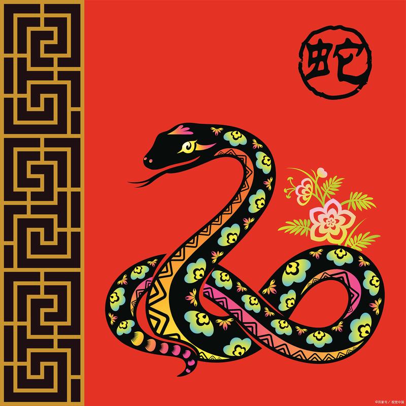 羊蛇今期来争特开什么:羊蛇今期来争特是什么生肖