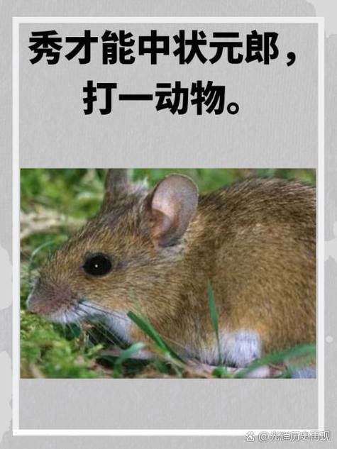 关于“杨威抖擞千山动，三三上下左右好”打一个生肖动物的信息
