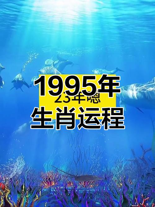 95年属什么生肖猪的命:95年属猪的属相是什么命