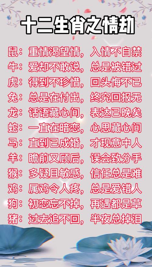 “救苦救难”打一正确的生肖的简单介绍