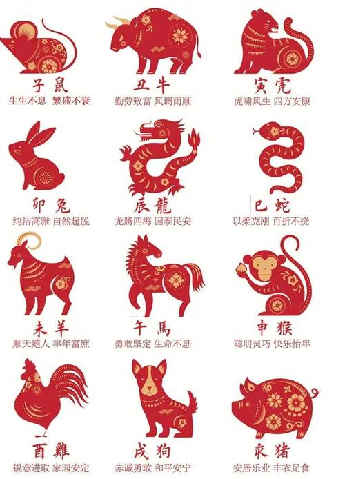 今期生肖讲你知是什么数字:今期生肖最简单代表什么数字