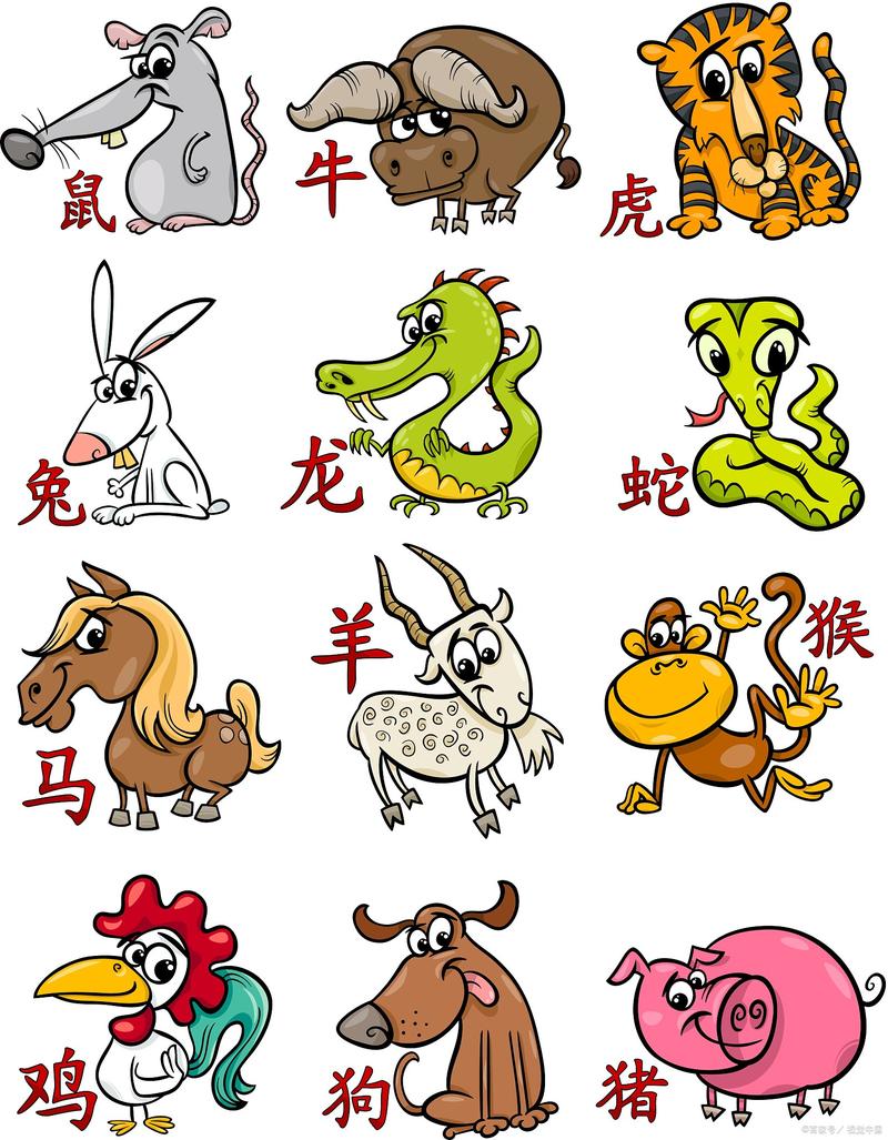 关于“祖奶奶的花鞋”打一准确动物生肖的信息