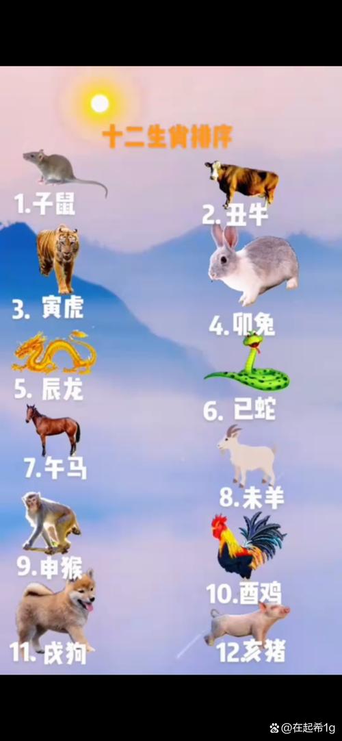 今期生肖多留意代表什么动物:今期生肖多留意代表什么动物和生肖