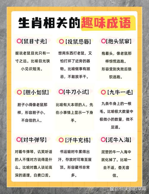 “势不可为”代表什么生肖的简单介绍