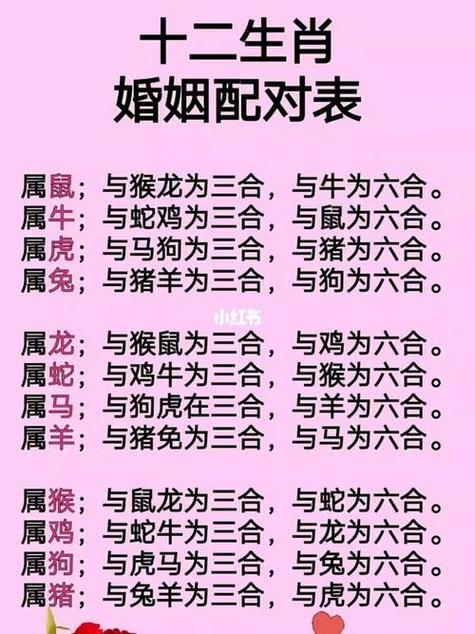 最准生肖配对表:最准的12生肖配对查询