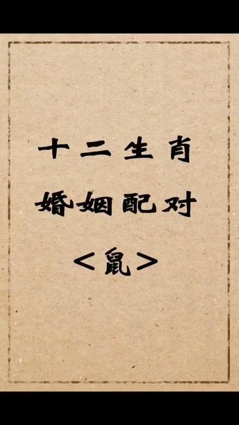 鼠与什么生肖最配:鼠和什么生肖最搭配