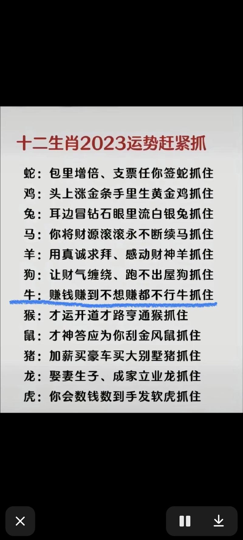 今期生肖有福气是指哪个生肖:今期生肖有福气是指哪个生肖动物
