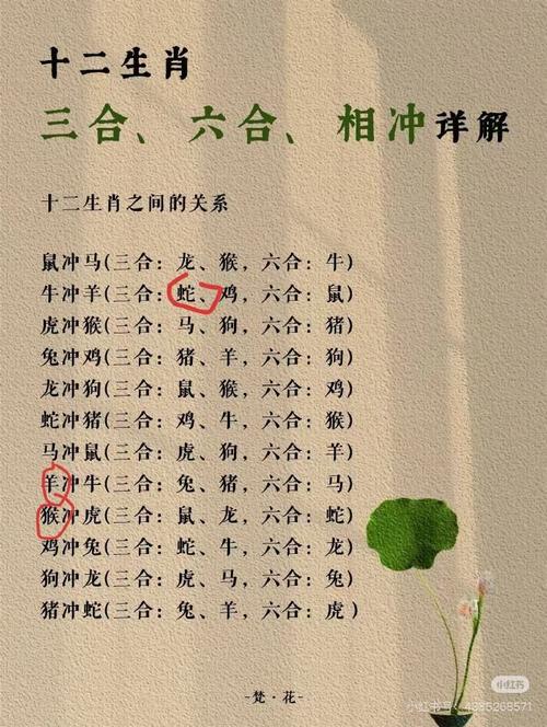 今期生肖最好找指定一个生肖:今期生肖最好找指定一个生肖的动物