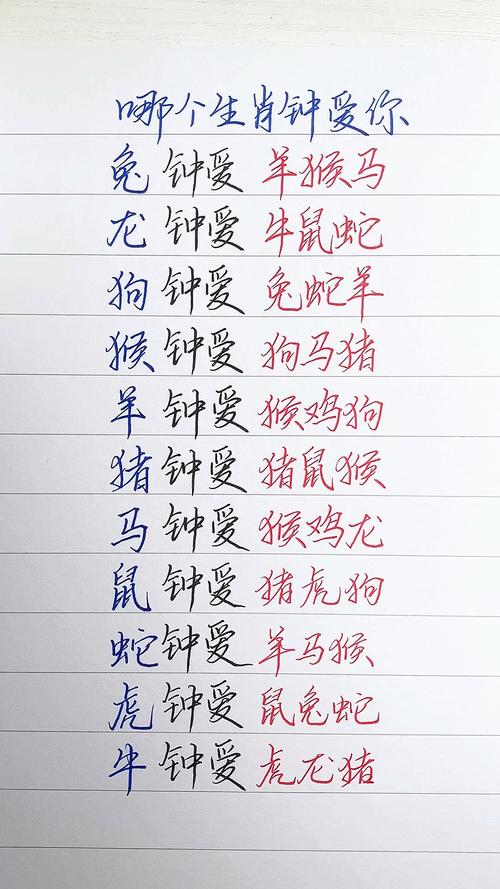 辛勤的动物正确答案是什么生肖的简单介绍