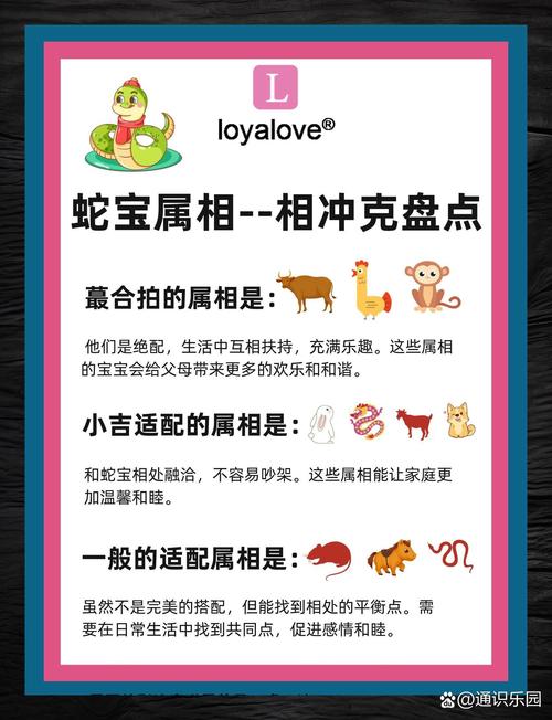 猪蛇冲什么生肖:猪蛇相冲什么意思