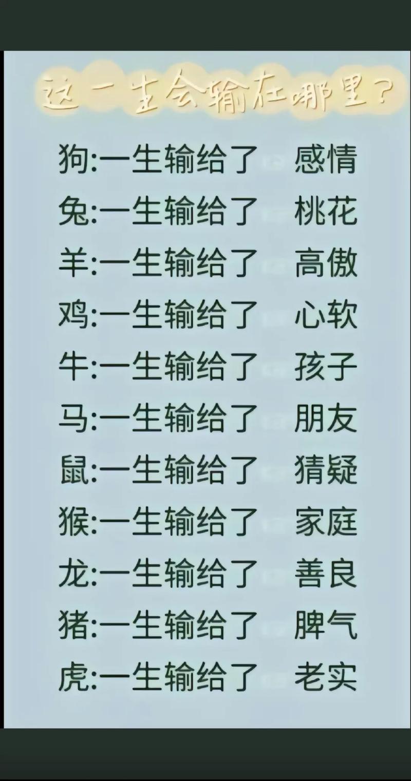 玄机代表数字几:玄机字看字解生肖