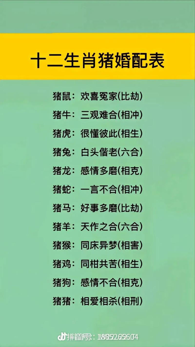 什么生肖克制猪:什么生肖克制猪和虎