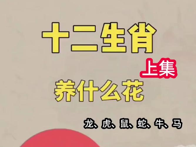 今期生肖金花开带表什么生肖的简单介绍
