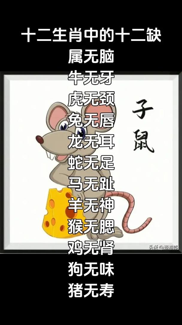 关于身子小脖子长是什么生肖的信息