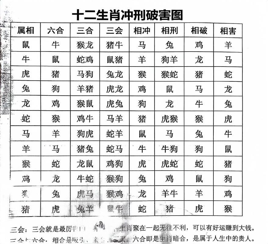 马跟什么生肖相冲:属猴和什么属相犯冲