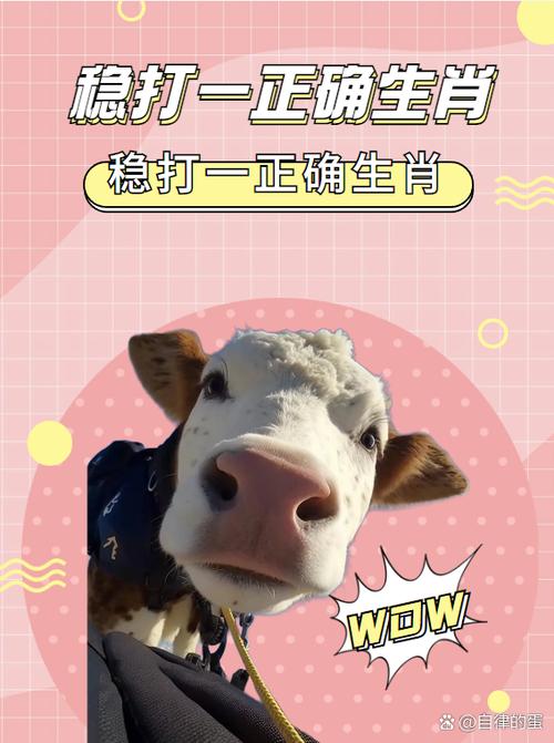 “摩顶放踵”打一准确动物生肖的简单介绍