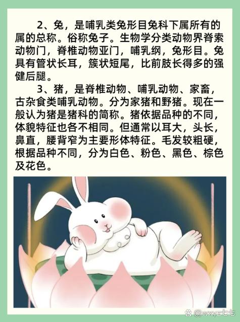 各据一方打一生肖:各据一方是什么动物
