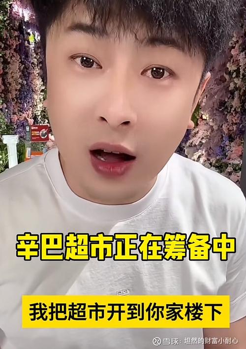 辛巴身价多少个亿:辛巴身价多少个亿元