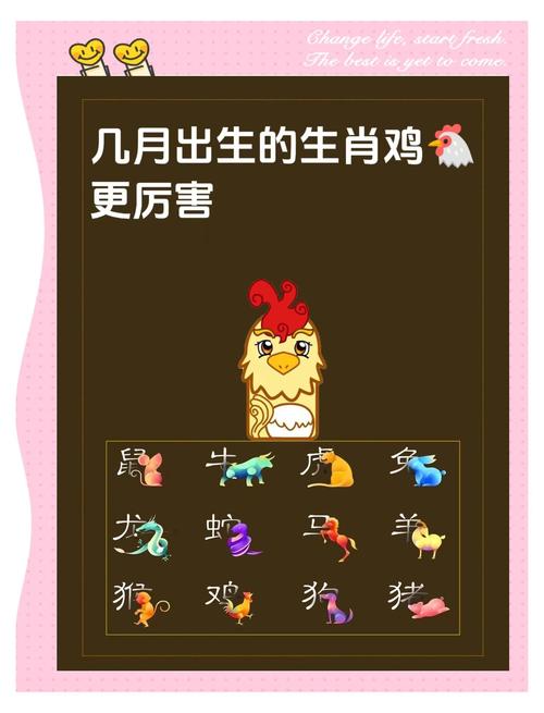 今期鸡生肖好时光打一生肖:今期生肖最好查,是哪个生肖