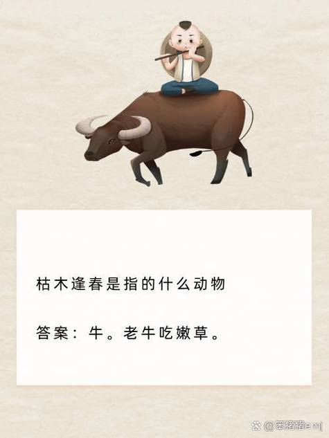 关于今期生肖处处春是什么动物的信息