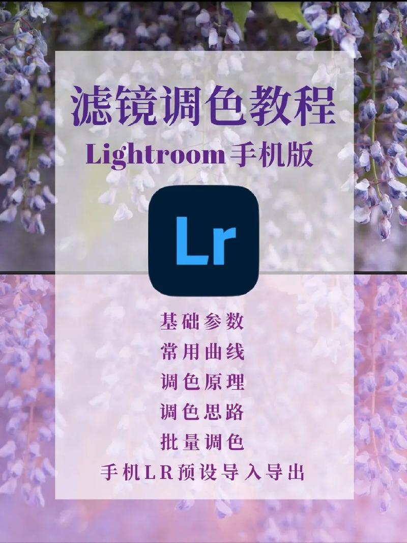 lightroom安卓手机版:lightroom手机修图软件免费版