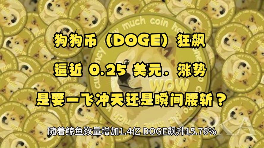 2026年狗狗币会暴涨吗:2026年狗狗币会暴涨吗视频