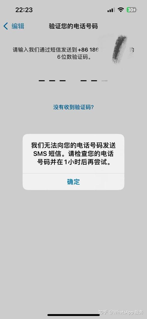 whatsapp短信验证收不到:whatsapp短信验证一直连接中