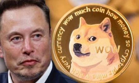 狗狗币今日多少美金:狗狗币今日多少美金了