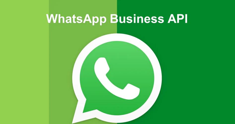 国外版whatsapp怎么下载:whatsapp海外安卓下载最新版