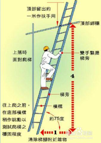 如何梯子爬墙:梯子爬墙是什么意思