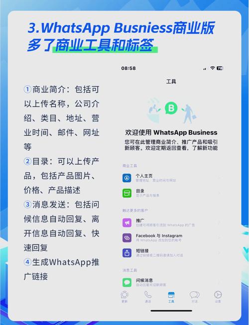whatsapp怎么读视频:whatsapp怎么视频聊天